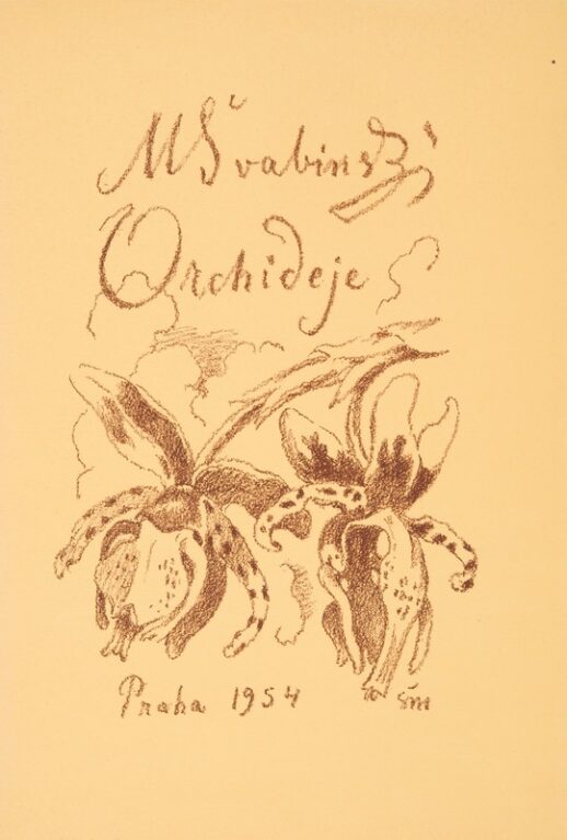 Obálka cyklu orchideje