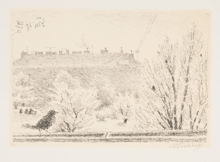 Pohled z okna s kosem