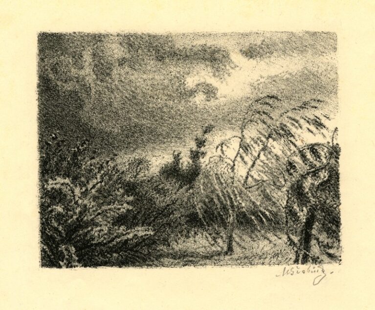 V zahradě před bouří