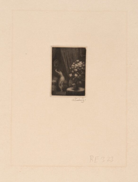 Bílá kamélie (malá, na výšku)