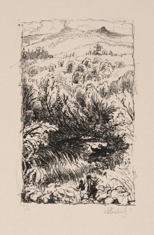 Džungle se sopkou (I. stav)