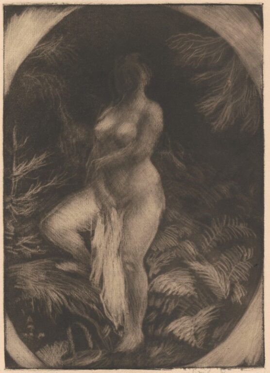 V lese II. (studie k mezzotintě)