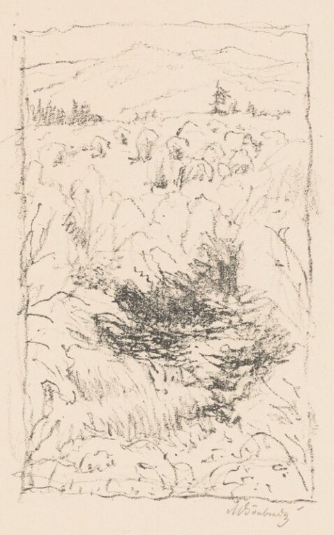 Džungle se sopkou (I. stav)