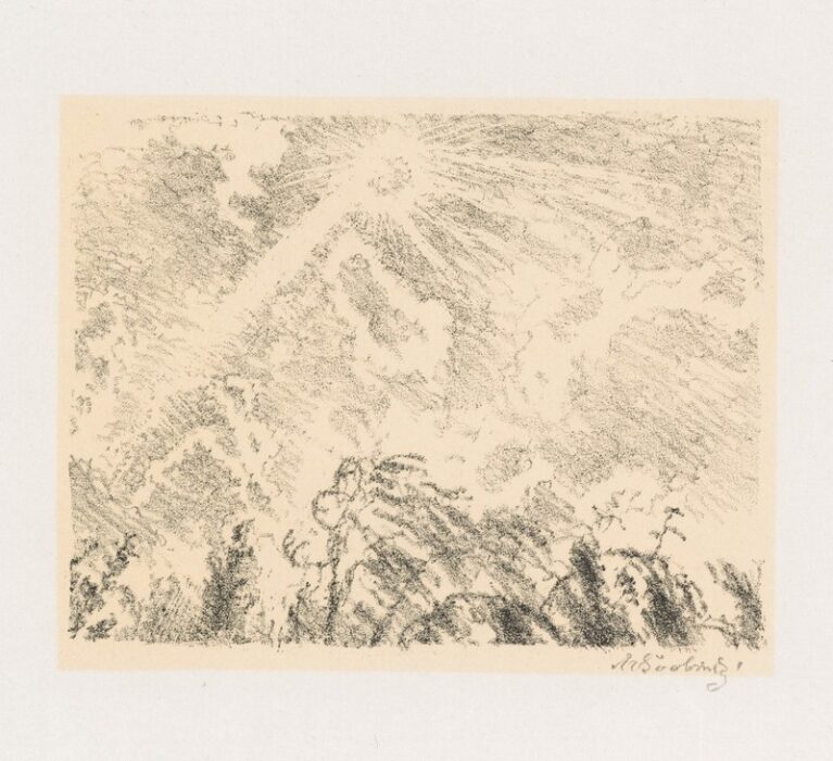 Sluneční paprsky za větru